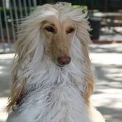Marla Hart's photo