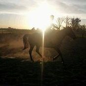 Shannie Moore's photo