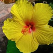 JeriLynn Childress's photo