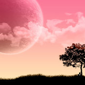 Rachel Lloyd's photo