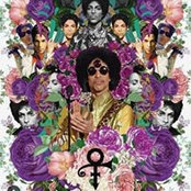 Ebony Stroder's photo