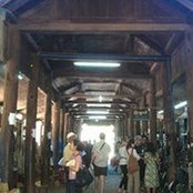 Alice Lu's photo