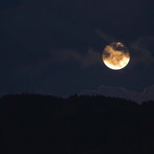 Sava Sarok's photo