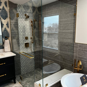 Carol Stream Master Bathroom
