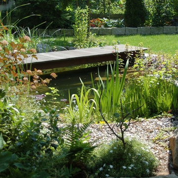 Naturteich im Garten