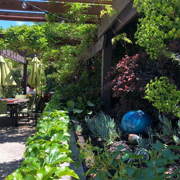Artist's Garden Terra Linda