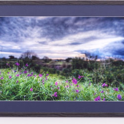 Wildflowers, Hunter Valley Australia - Limited Edition Fine Art Print 24 inches - Fine Art Prints
