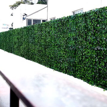 Outdoor Designs