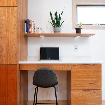 Project 3680-1 Minneapolis Scandinavia Modern Whole House Renovation