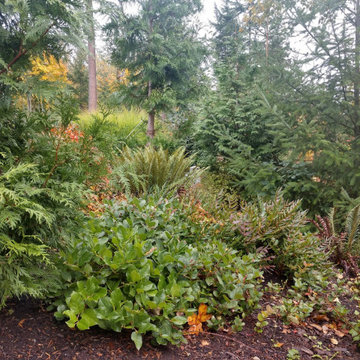 Lake Whatcom Watershed (NVPA)