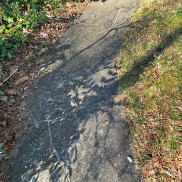 Pressure Washing - Rome, GA