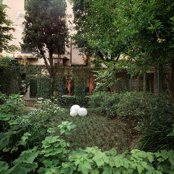 A tiny ecosystem in the heart of town