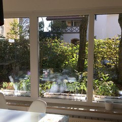 Pflanzen als Sichtschutz vor dem Fenster - [SCHÖNER WOHNEN]