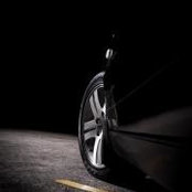 Andrew Lee's photo