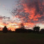 Foto von Renee Davis