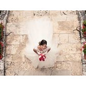 Marion Nolla's photo