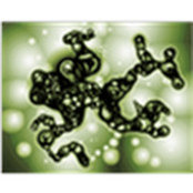Phil Pliuskonis's photo