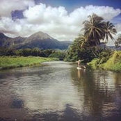 Danielle Hattori's photo