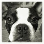 Jennifer Weddle Van Wormer's photo