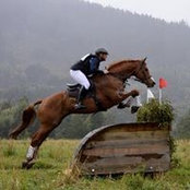 Colin Hallaby's photo
