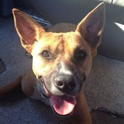 Cherine Lewis's photo