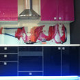 Foto de perfil de ROMANS HANDYMAN SERVICES
