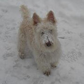 Julie Merryman's photo