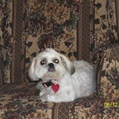 Sharon Staten's photo