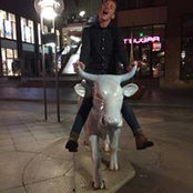 Josh Delay's photo