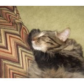 Nancy Lagro's photo
