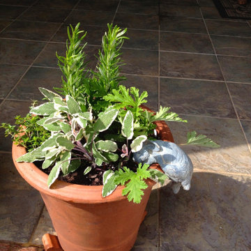 Gardens in Pots Large & Small Make a Big Impression