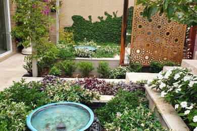Design ideas for a contemporary garden in Central Coast.