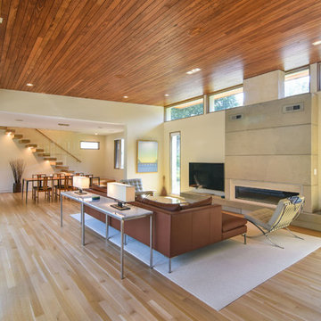 Mount Pleasant Modern