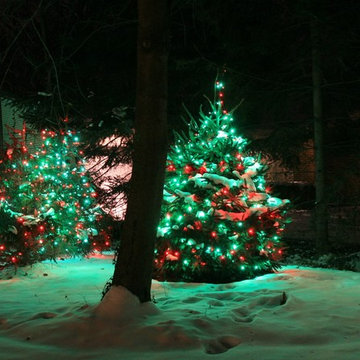 Festive Colored Lights!