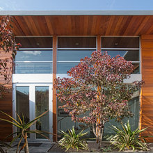 rear patio