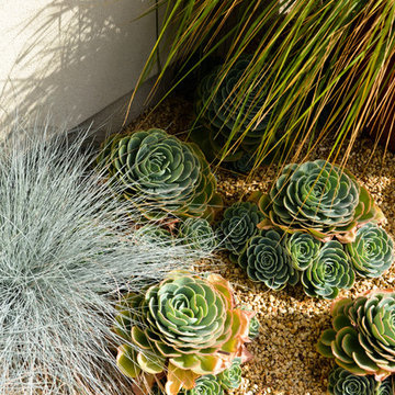 Modern Desert Style: a Water-Wise Front Yard Patio & Garden