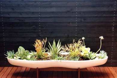 Photo of a contemporary landscaping in Los Angeles.