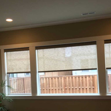 Color Consult/ Roller Shades