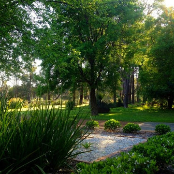 Semi-rural garden