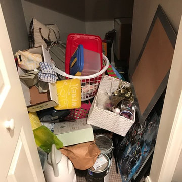 Basement Closet Under the Stairs