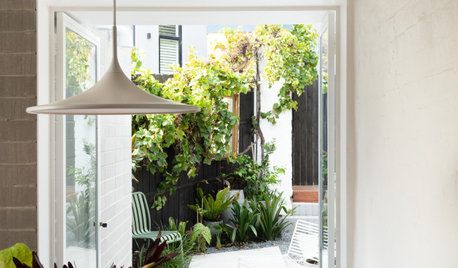 Before & After: An Awkward, Skinny Terrace Is Artfully Resolved