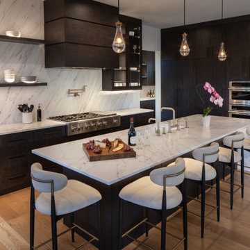 Tiger's Eye Contemporary Kitchen