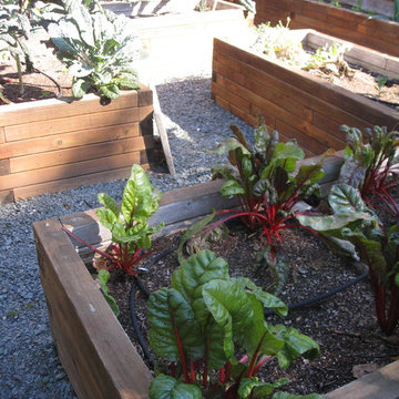 Raised bed vegetable garden Loudonville, NY