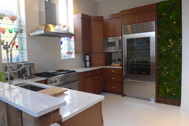 Inspiration for a transitional kitchen remodel in Chicago