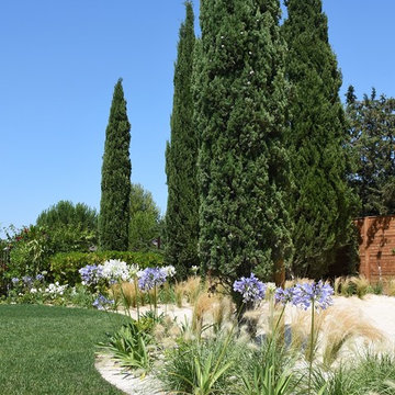 Ensemble Piscine & Jardin aux allures contemporaines et méditérranéennes