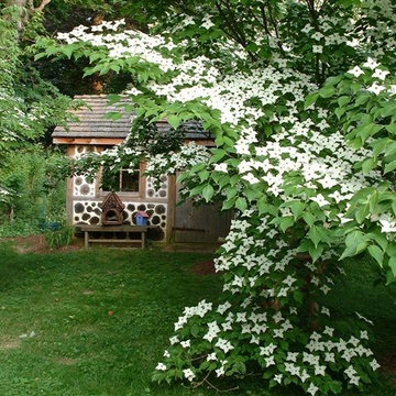 Collector's Garden