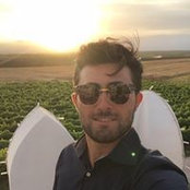 Domenico Pistillo's photo