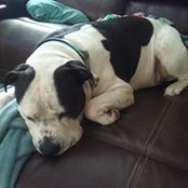 Vicky Geisinger's photo