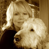 goldendoodles4evers foto