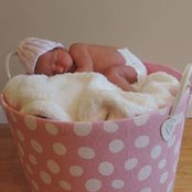 Kim Khay's photo